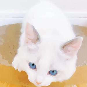 男人高中宿舍Cay互吃鳮
